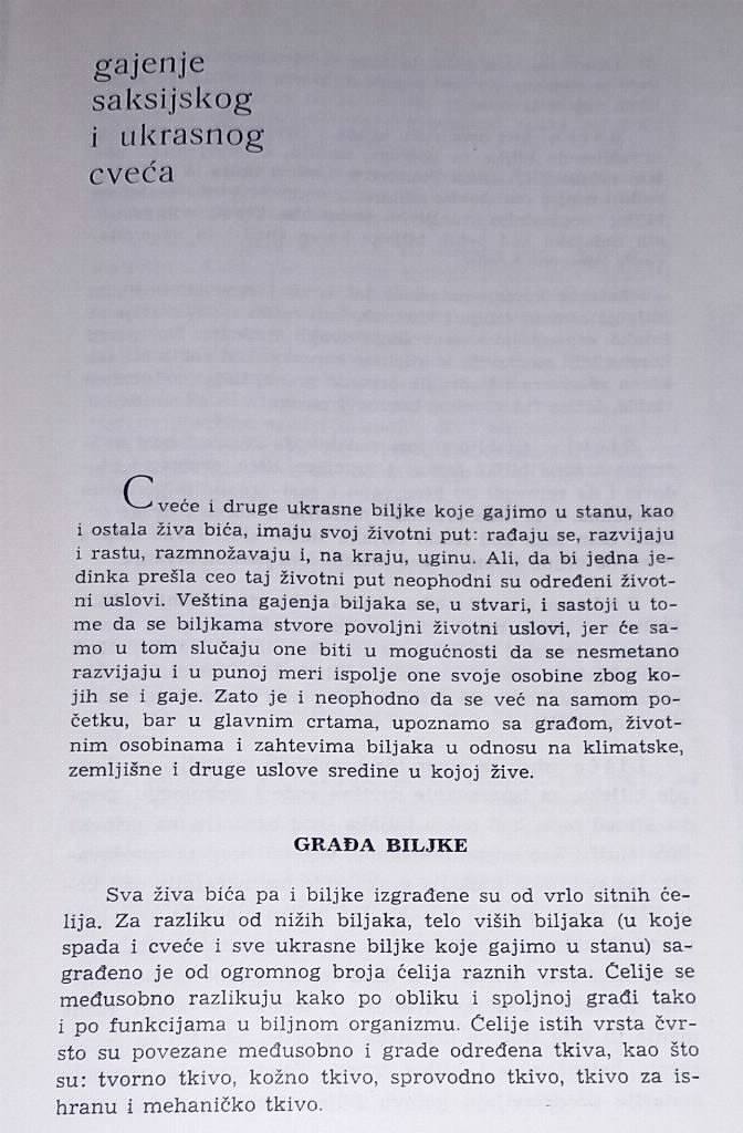Gajenje cveća u stanu Ivančić Jakoc