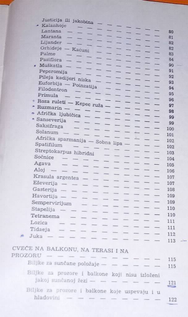 Gajenje cveća u stanu Ivančić Jakoc