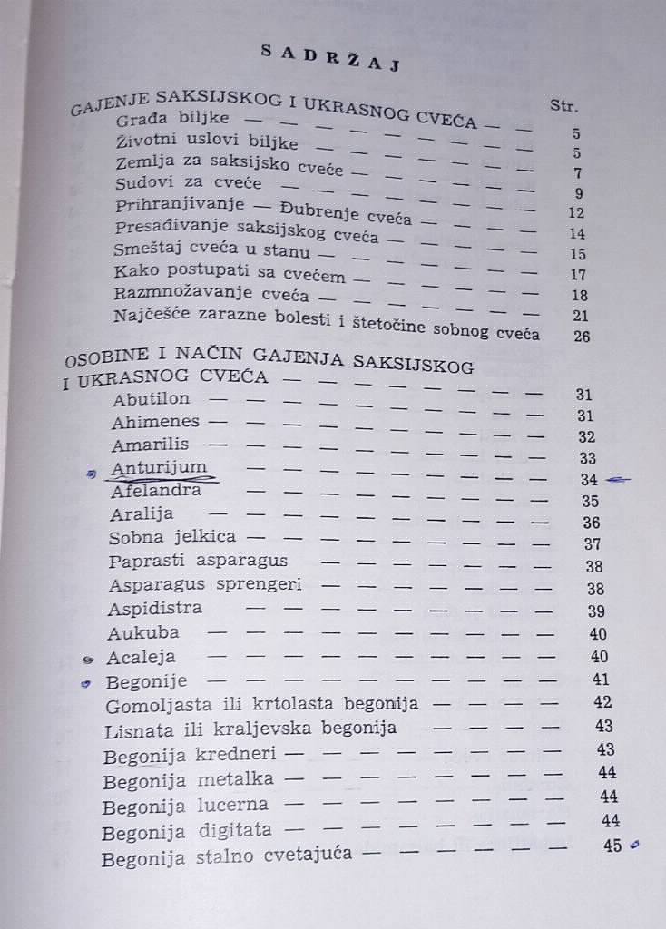 Gajenje cveća u stanu Ivančić Jakoc
