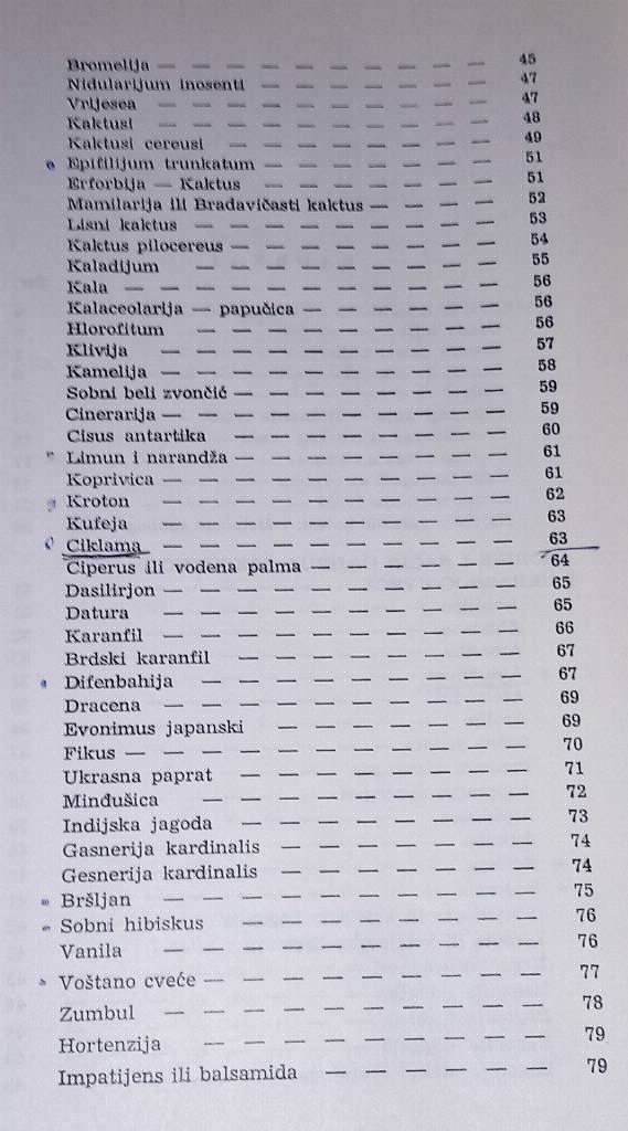 Gajenje cveća u stanu Ivančić Jakoc