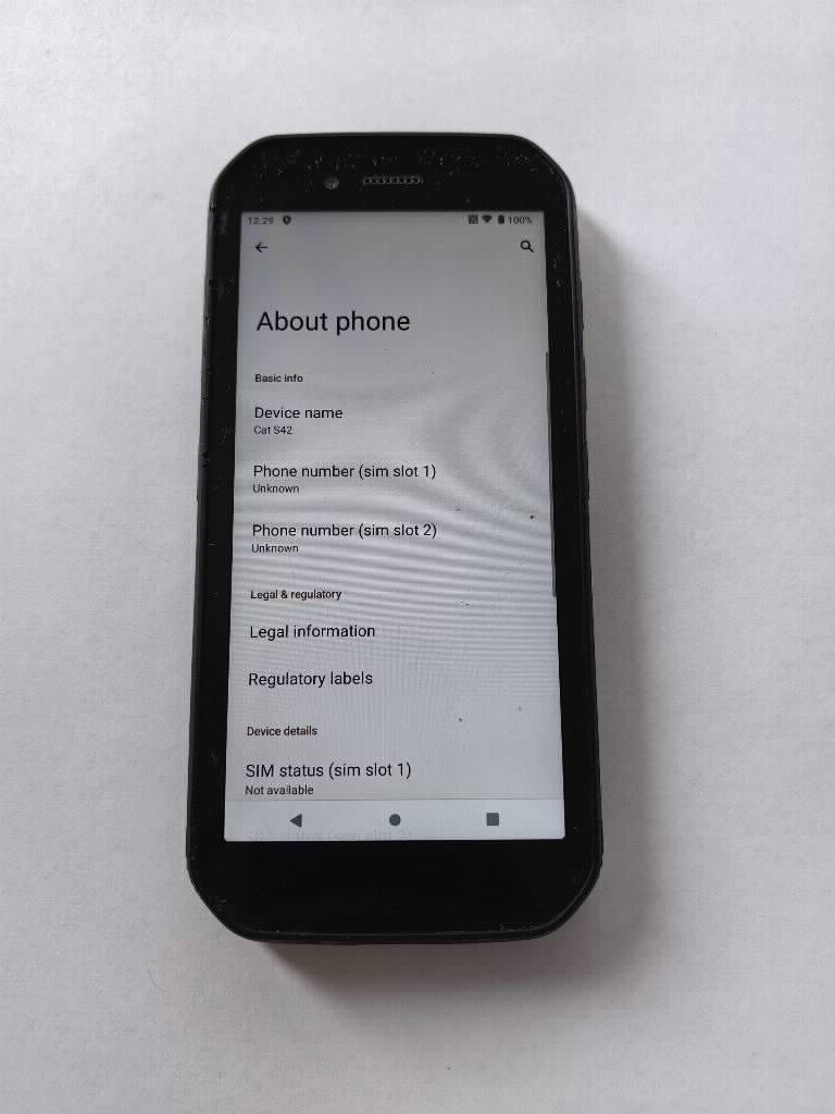 Cat S42